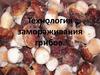 Технология замораживания грибов