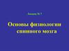 Физиология спинного мозга. (Лекция 7)
