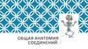 Общая анатомия соединений