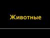 Царство Животных