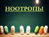 Ноотропы