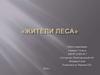 Жители леса
