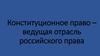 Конституционное право – ведущая отрасль российского права