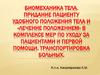 Биомеханика тела. Придание пациенту удобного положения тела и «лечение положением» в комплексе мер по уходу за пациентами