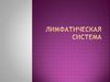 Лимфатическая система