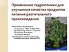 Использование гидропоники для улучшения качества растительных продуктов питания