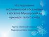 Исследование экологической обстановки в посёлке Муезерский на примере талого снега