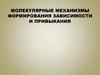 Молекулярные механизмы формирования зависимости и привыкания