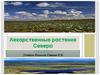 Лекарственные растения Севера