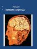 Нервная система. Лекция 12