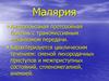 Малярия. Этиология. Жизненный цикл. Клиника. Лечение