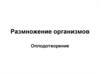 Размножение организмов. Оплодотворение