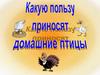 Какую пользу приносят домашние птицы
