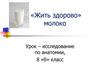 «Жить здорово» молоко. Урок – исследование по анатомии, 8 класс