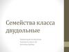 Семейства класса двудольные