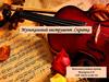 Музыкальные инструменты. Скрипка