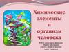 Химические элементы и организм человека