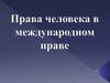 Права человека в международном праве