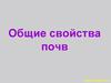 Общие свойства почв