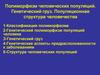 Полиморфизм человеческих популяций. Генетический груз. Популяционная структура человечества