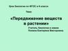 Передвижение веществ в растении