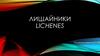 Лишайники Lichenes