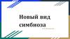 Новый вид симбиоза