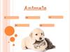 Animals