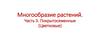 Многообразие растений. Покрытосеменные (Цветковые)