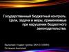 Государственный бюджетный контроль. Цели, задачи и меры, применяемые при нарушении бюджетного законодательства