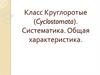 Класс круглоротые (cyclostomata). Систематика. Общая характеристика