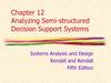 Analyzing Semi-structured Decision Support Systems