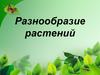 Разнообразие растений