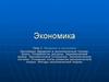 Введение в экономику