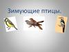 Зимующие птицы