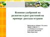 Влияние удобрений на развитие и рост растений на примере рассады огурцов. 1 класс