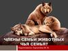 Члены семьи животных. Чья семья?