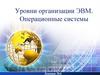 Уровни организации ЭВМ. Операционные системы