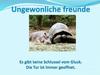 Ungewonliche freunde