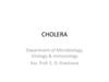 Cholera. Lesson № 6