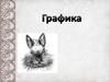 Графика. Графические средства