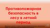 Пожарная безопасность в лесу в летний период