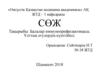 Балалар иммунопрофилактикасы. Ұлттық егулердің күнтізбесі
