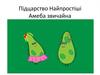 Підцарство Найпростіші. Амеба звичайна