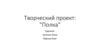 Полка. Творческий проект