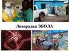 Лихорадка Эбола