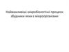 Найважливіші мікробіологічні процеси, збудники яких є мікроорганізми