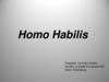 Homo habilis