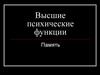 Высшие психические функции. Память