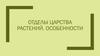Отделы царства растений. Особенности